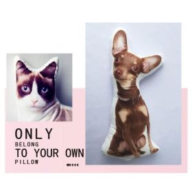 Customize Irregular Pillow Pet Pillow (Option: 40x40-Two sides)
